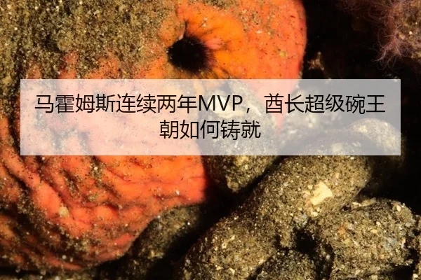 马霍姆斯连续两年MVP，酋长超级碗王朝如何铸就