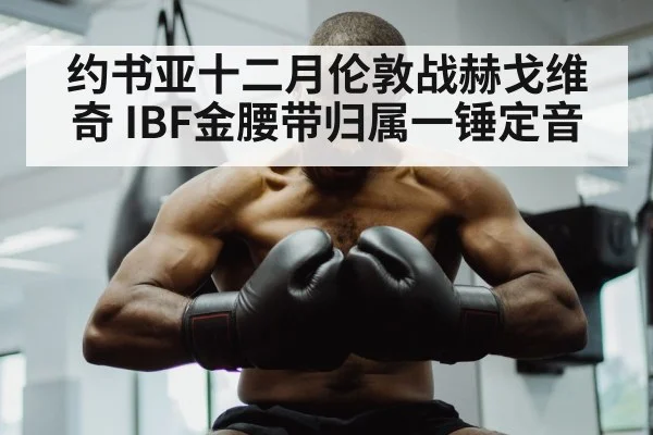 约书亚十二月伦敦战赫戈维奇 IBF金腰带归属一锤定音
